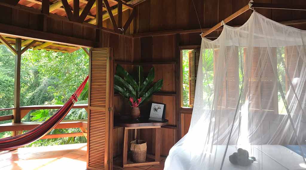 Selva Bananito Rainforest Lodge