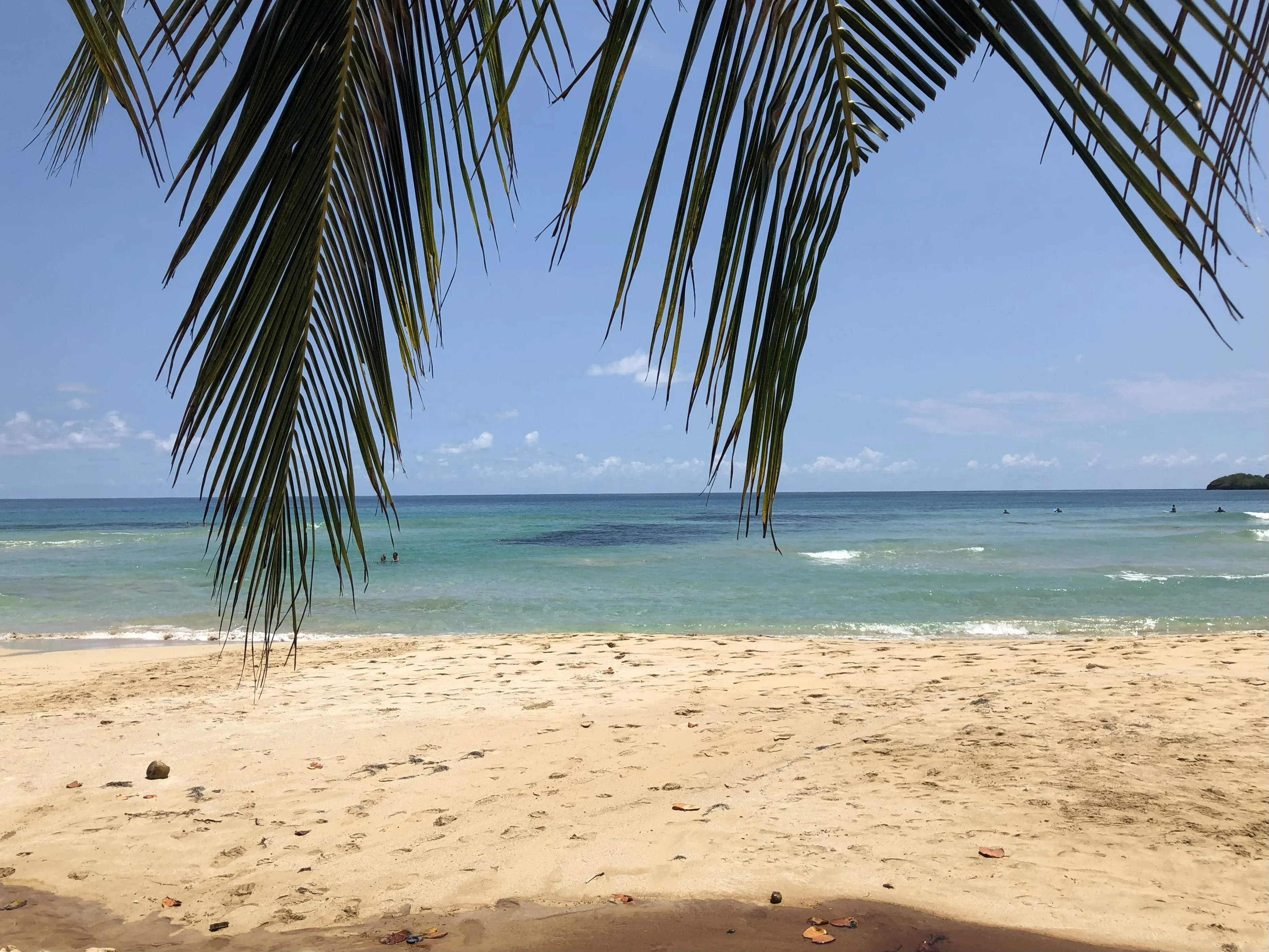 Costa Rica Rundreise 10 Tage - Karibik erleben