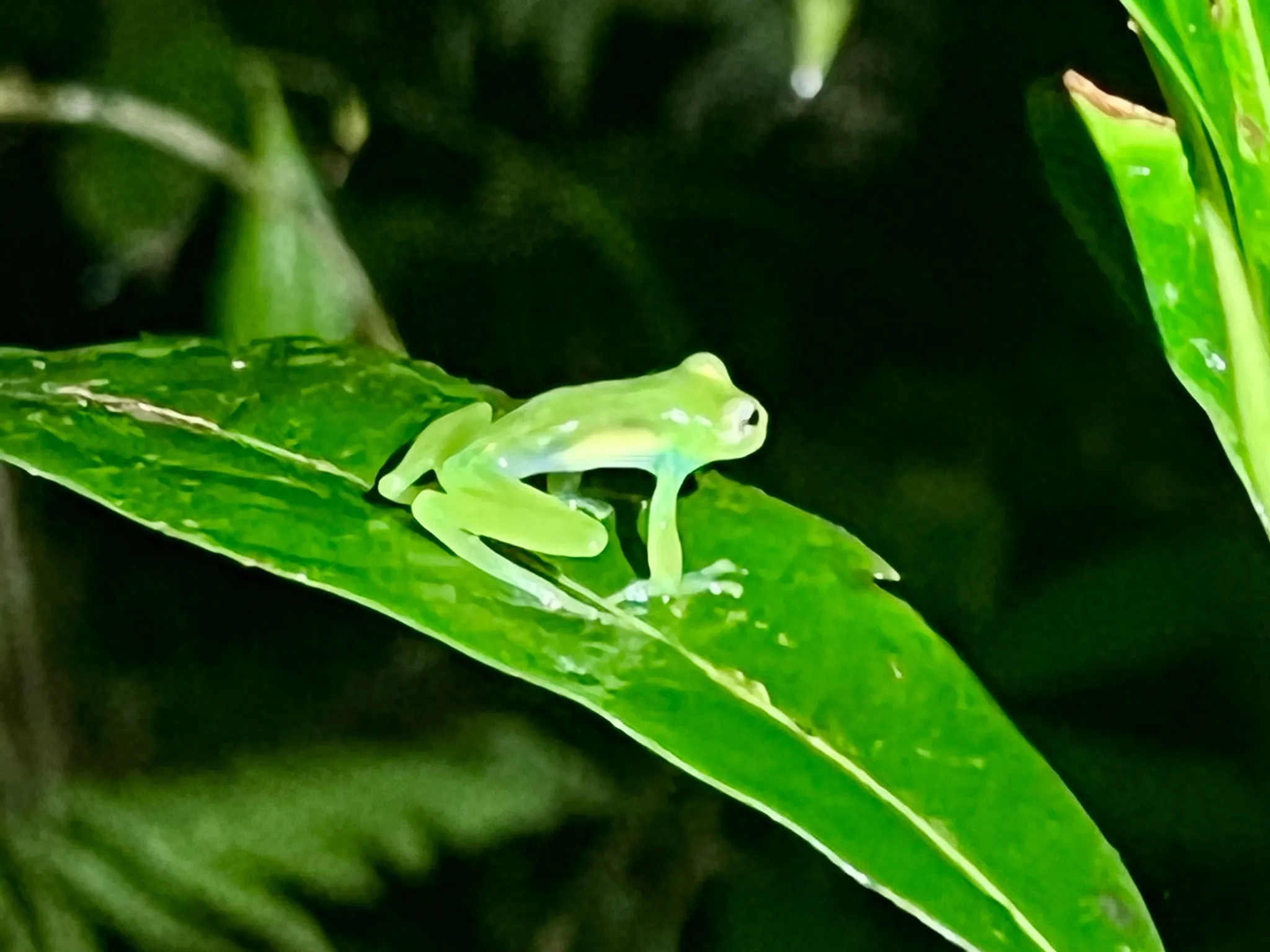 Entdecken Sie die Natur mit uns in 8 Tagen